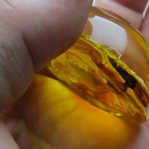 Fossil Amber Museum - Picture 5 of 5